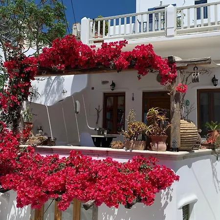 公寓 Cycladic House Mykonos Town